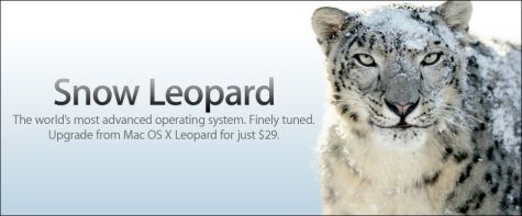 snow leopard banner